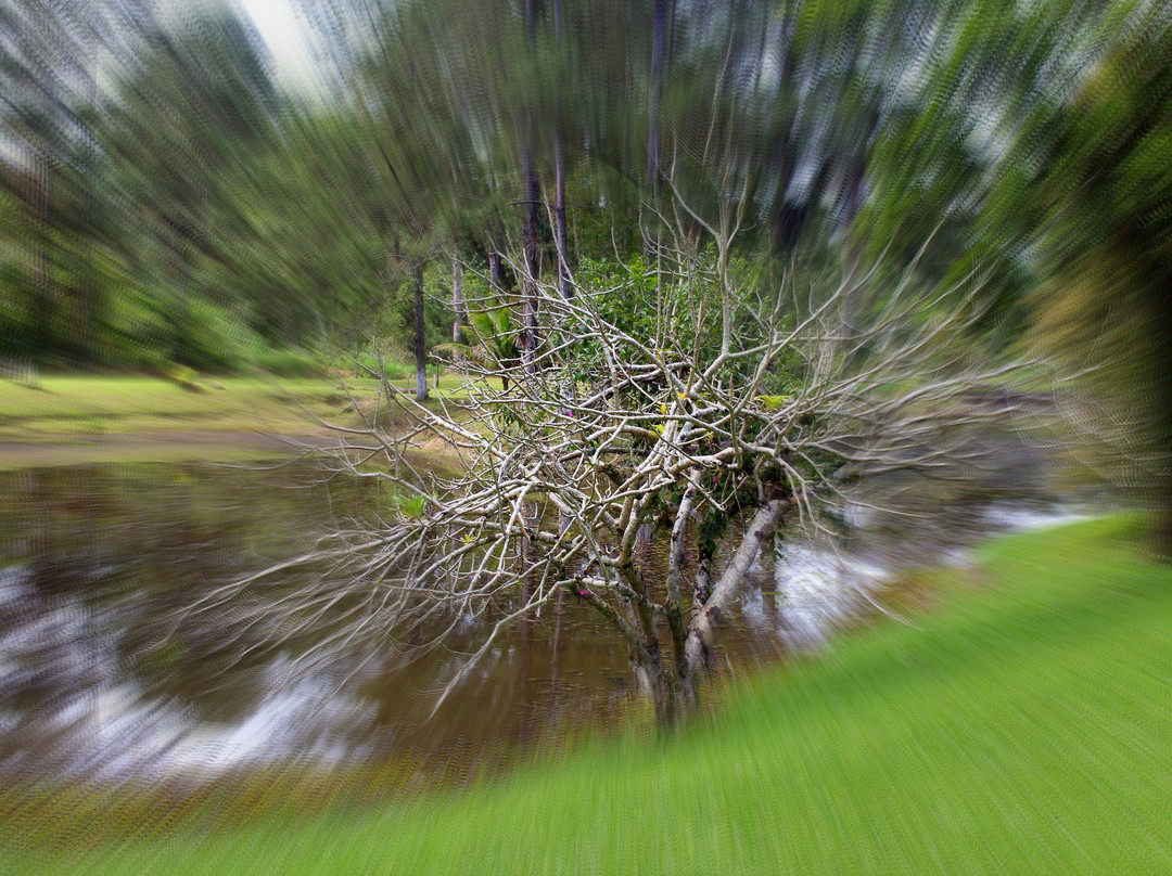 Bar E Restaurante Engenho