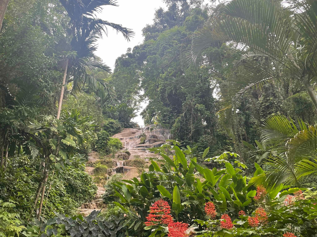 Konoko Falls & Park-奥乔里奥斯必去景点