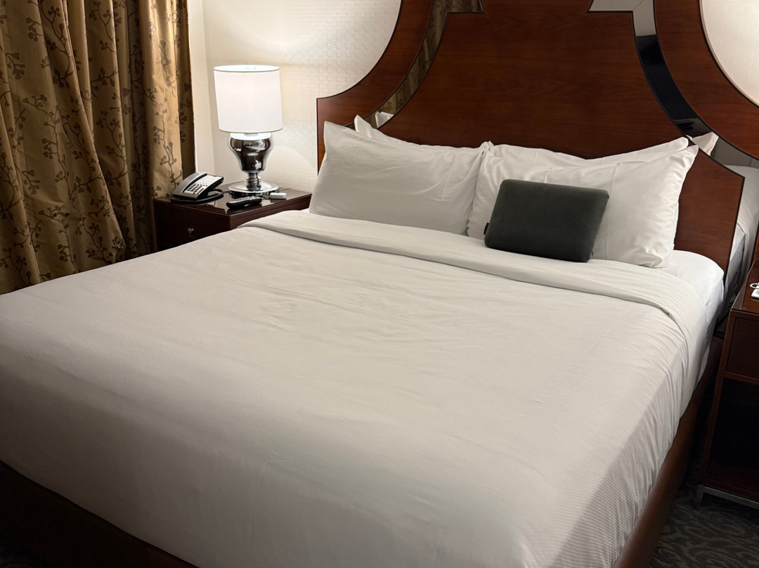 艾米塔什酒店主图