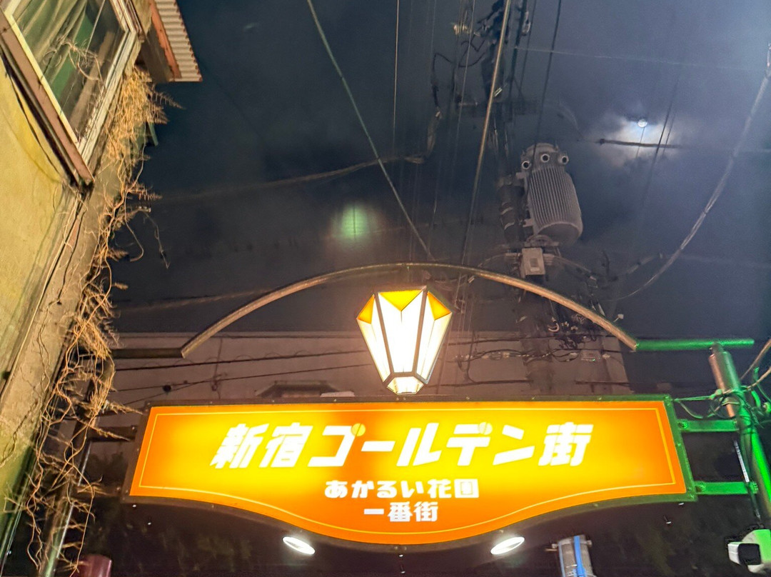 新宿黄金街-Kabukicho必去景点