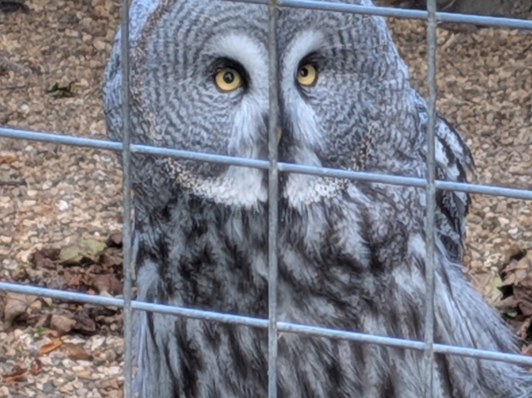 Bridlington Animal Park-布里德灵顿必去景点