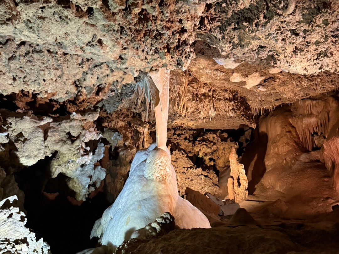 Inner Space Cavern-Georgetown必去景点