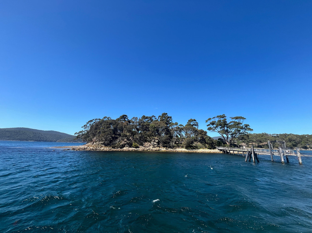 Isle of the Dead-亚瑟港必去景点