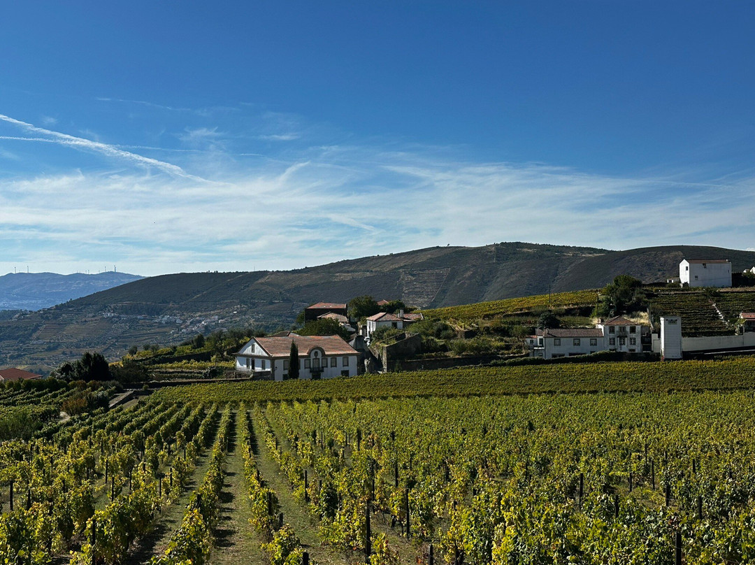 Douro Walks-Ervedosa do Douro必去景点