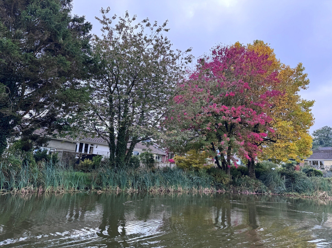 Tiverton Canal Co-蒂弗顿必去景点