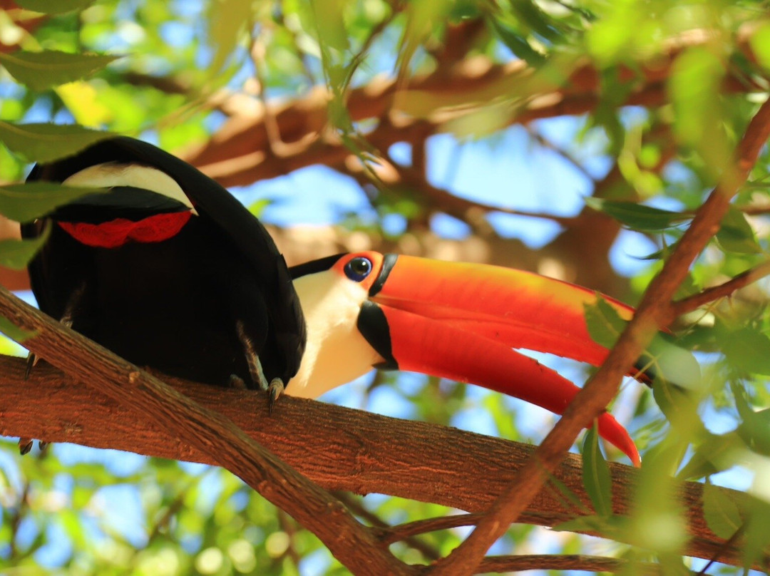 Rio da Prata-南马托格罗索州必去景点