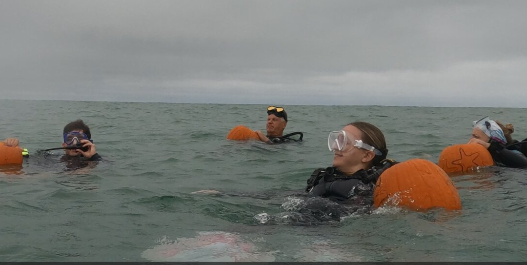 Gaspar's Dive N Board-恩格尔伍德必去景点