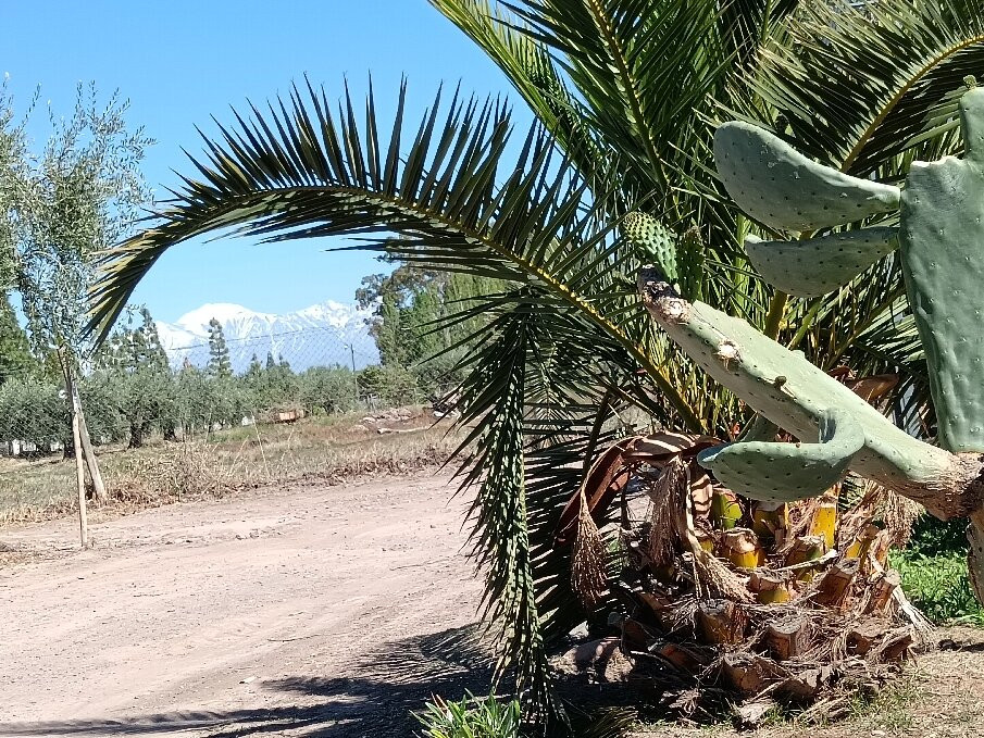 Bodega CarinaE-Maipu必去景点