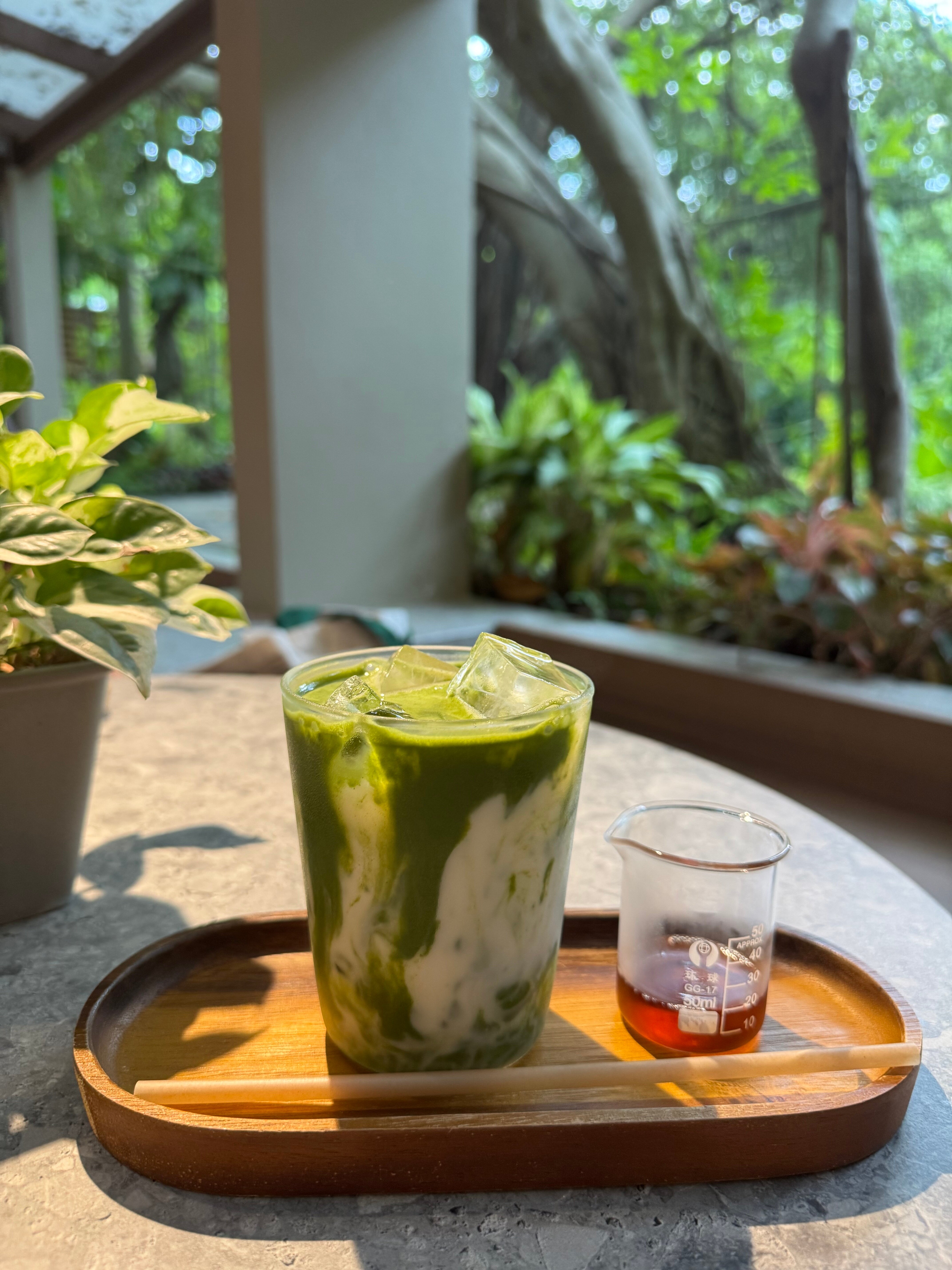 RXV Wellness Village-官方