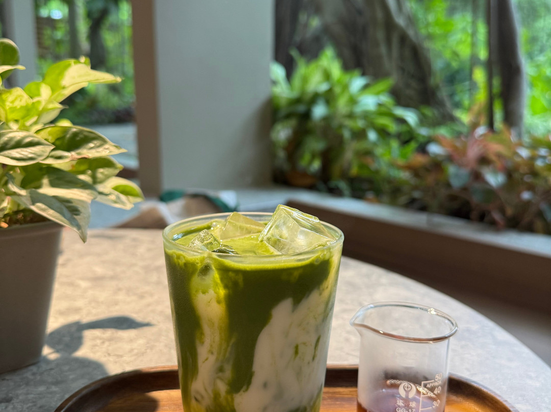 RXV Wellness Village主图