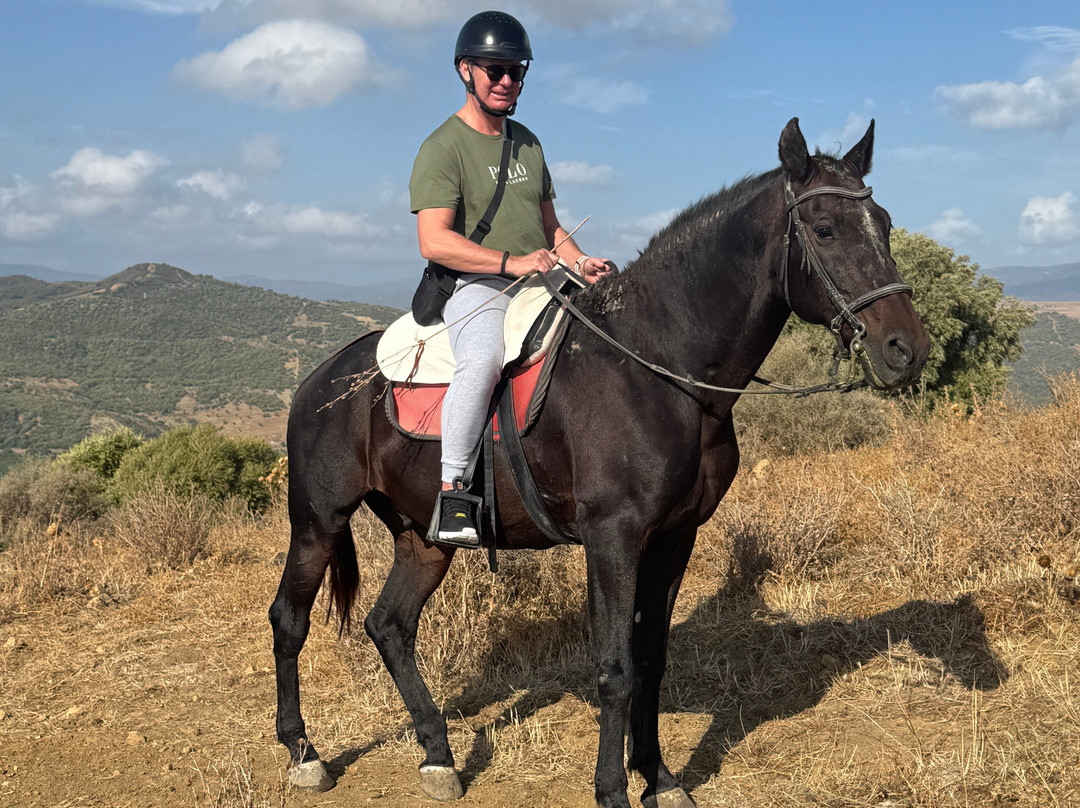 Riding Fun In The Sun-卡萨雷斯必去景点