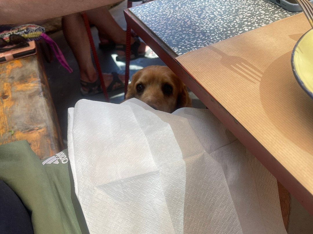 Myrtillo-Divarata必去景点