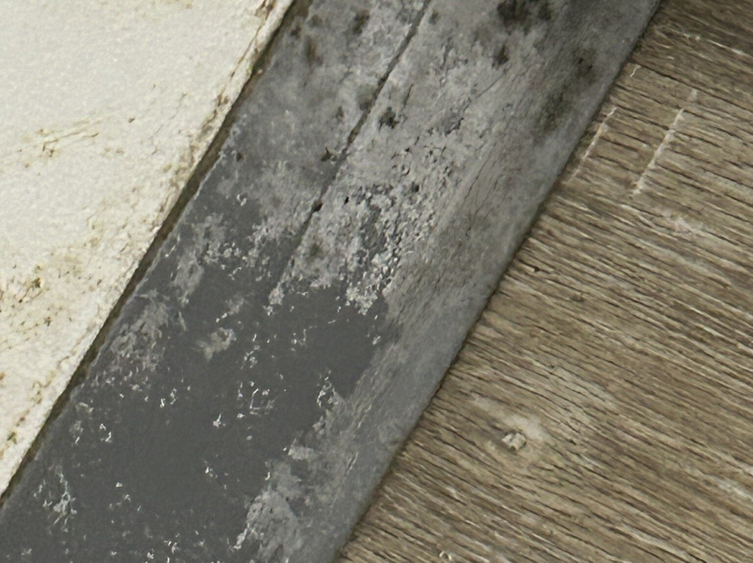 Motel 6 Scottsboro, AL – Hwy 72主图