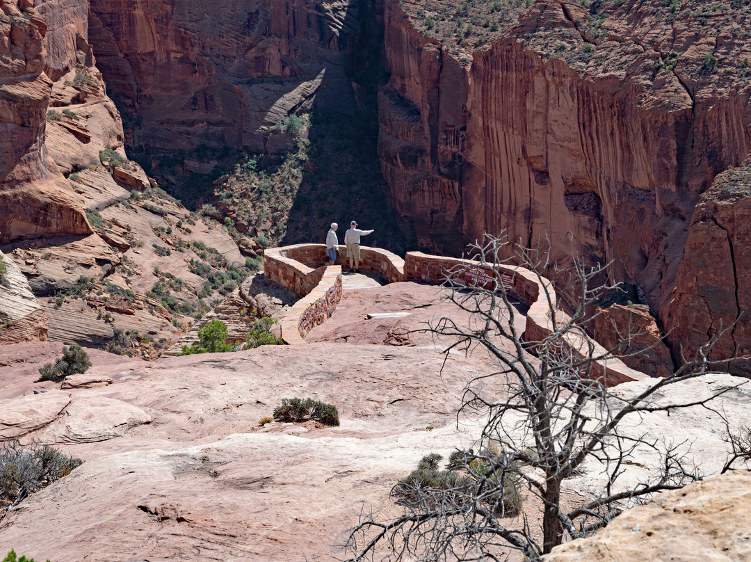 North Rim Drive-Chinle必去景点