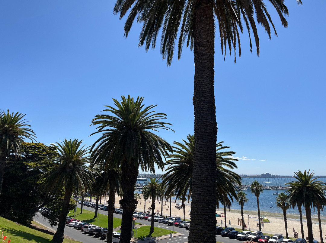 Steampacket Gardens-季隆必去景点