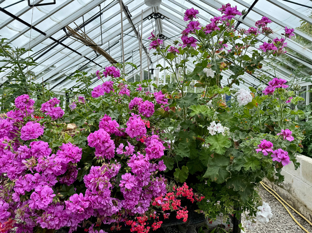 Clovelly Court Gardens-Clovelly必去景点