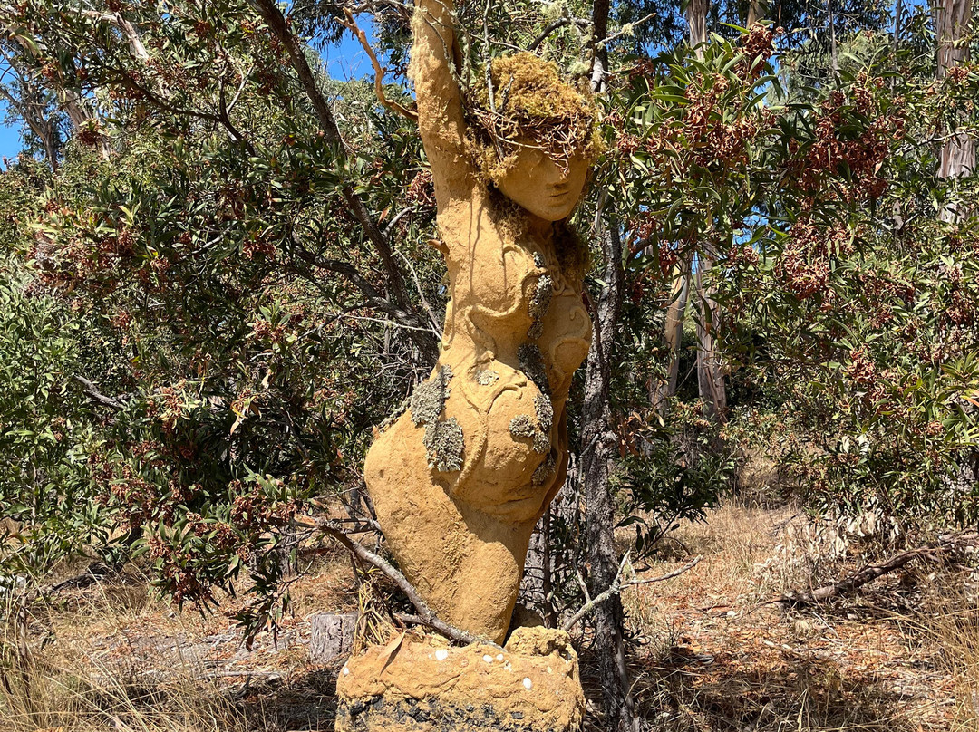 Doug Stirling Walking Track-洛恩必去景点