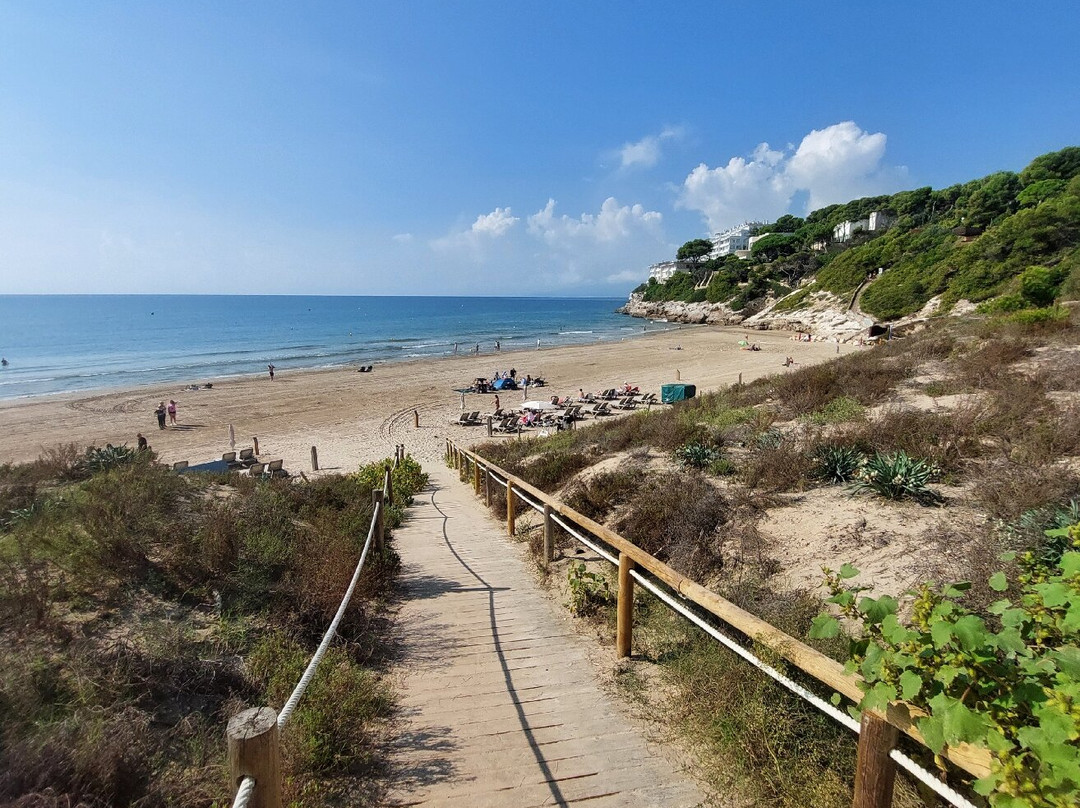 Llarga Beach-萨洛必去景点