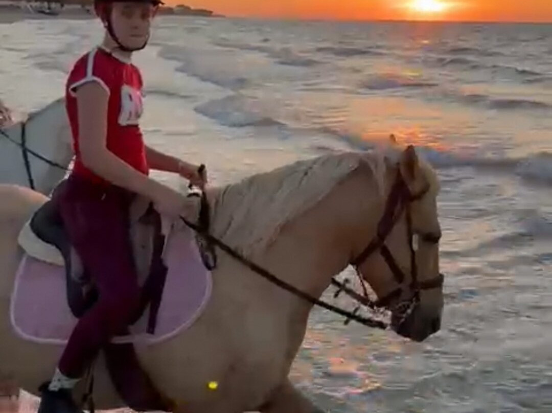 Erika's Horse Farm Kos-Marmari必去景点