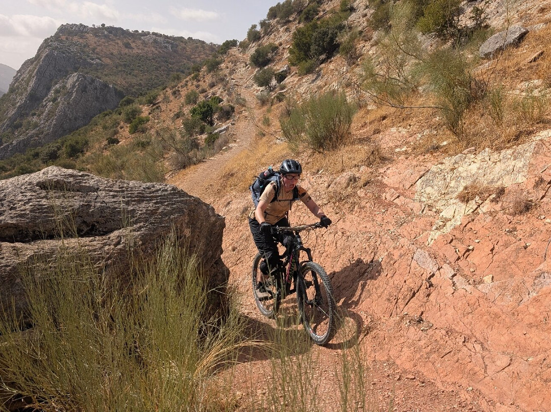 Andalucian Cycling Experience Day Trips-隆达必去景点