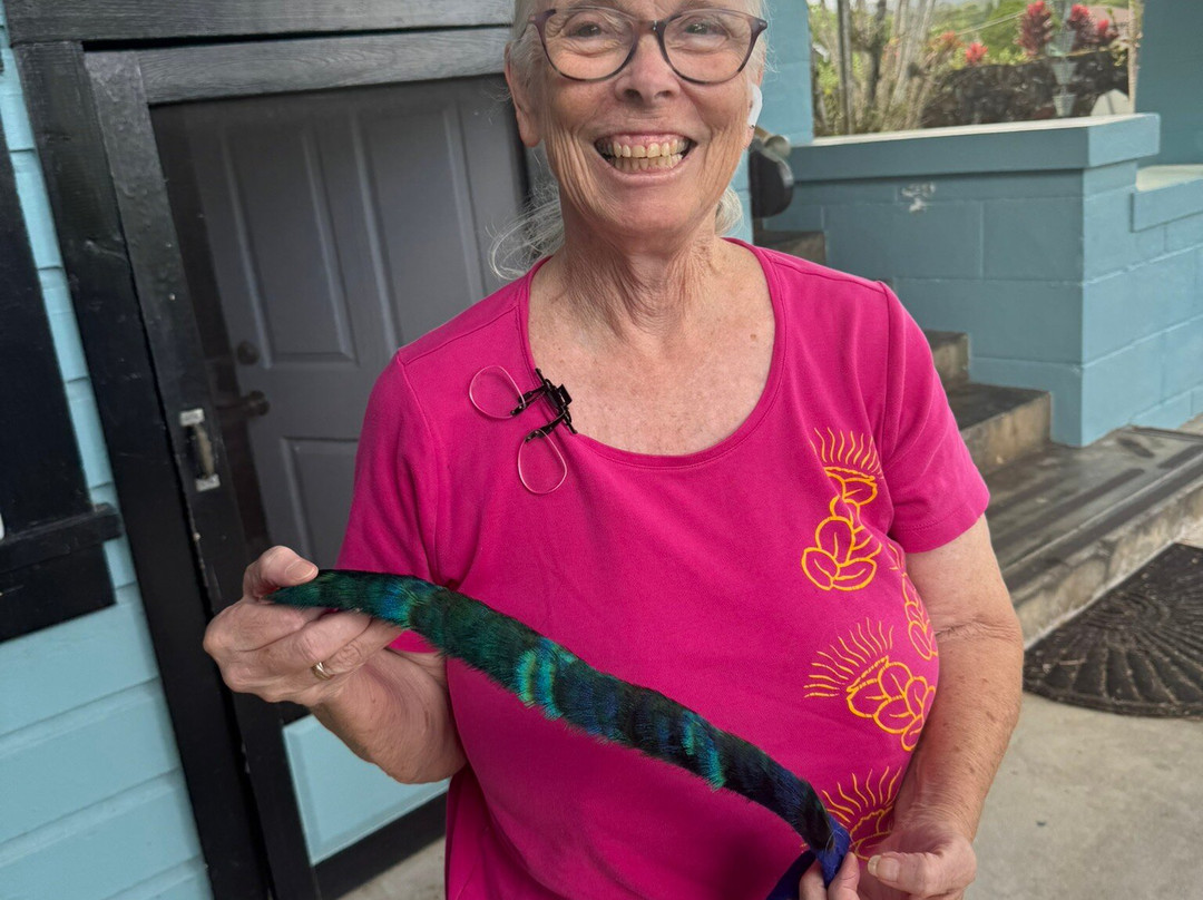 希罗胡奴旅馆主图