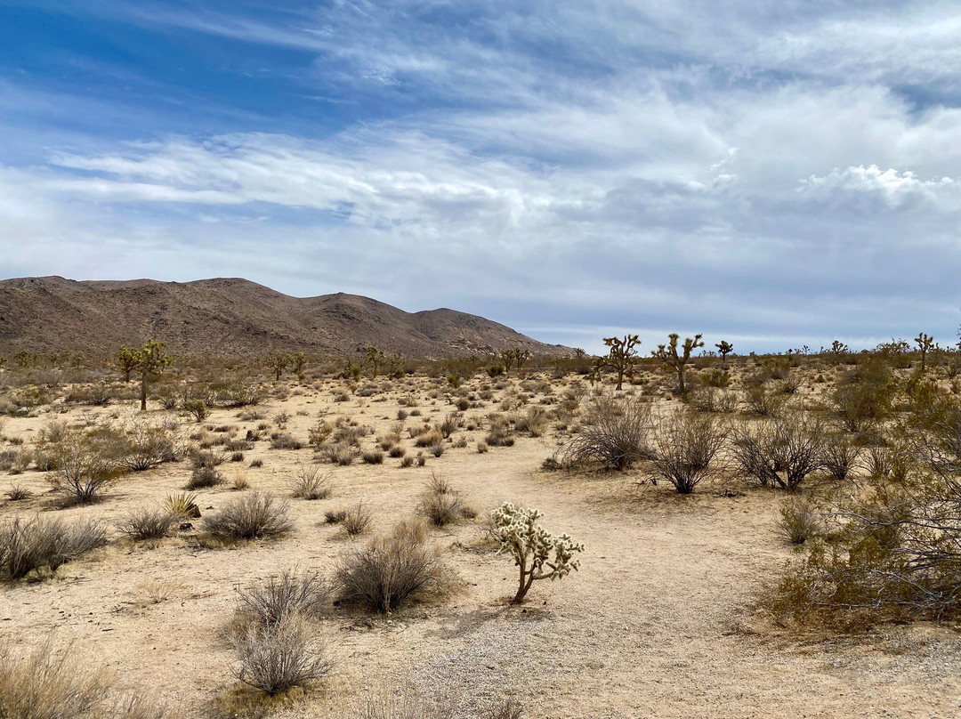 Split Rock-约书亚树国家公园必去景点