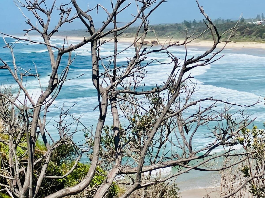 Lighthouse Beach-麦克夸利港必去景点