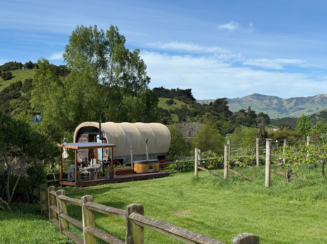 French Peak Vineyard-阿卡罗阿必去景点
