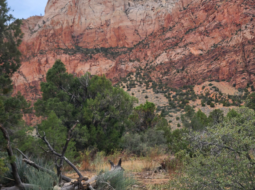 Canyon Trail Rides-锡安国家公园必去景点
