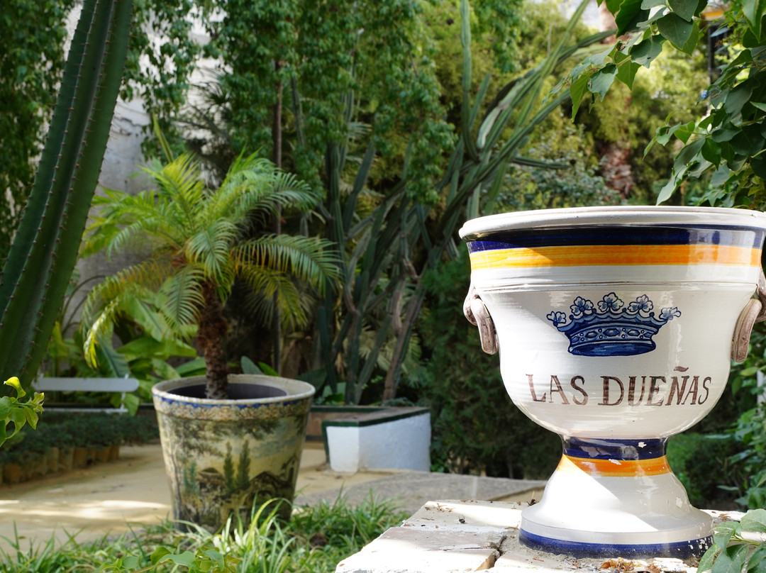 Palacio De Las Duenas-塞维利亚必去景点