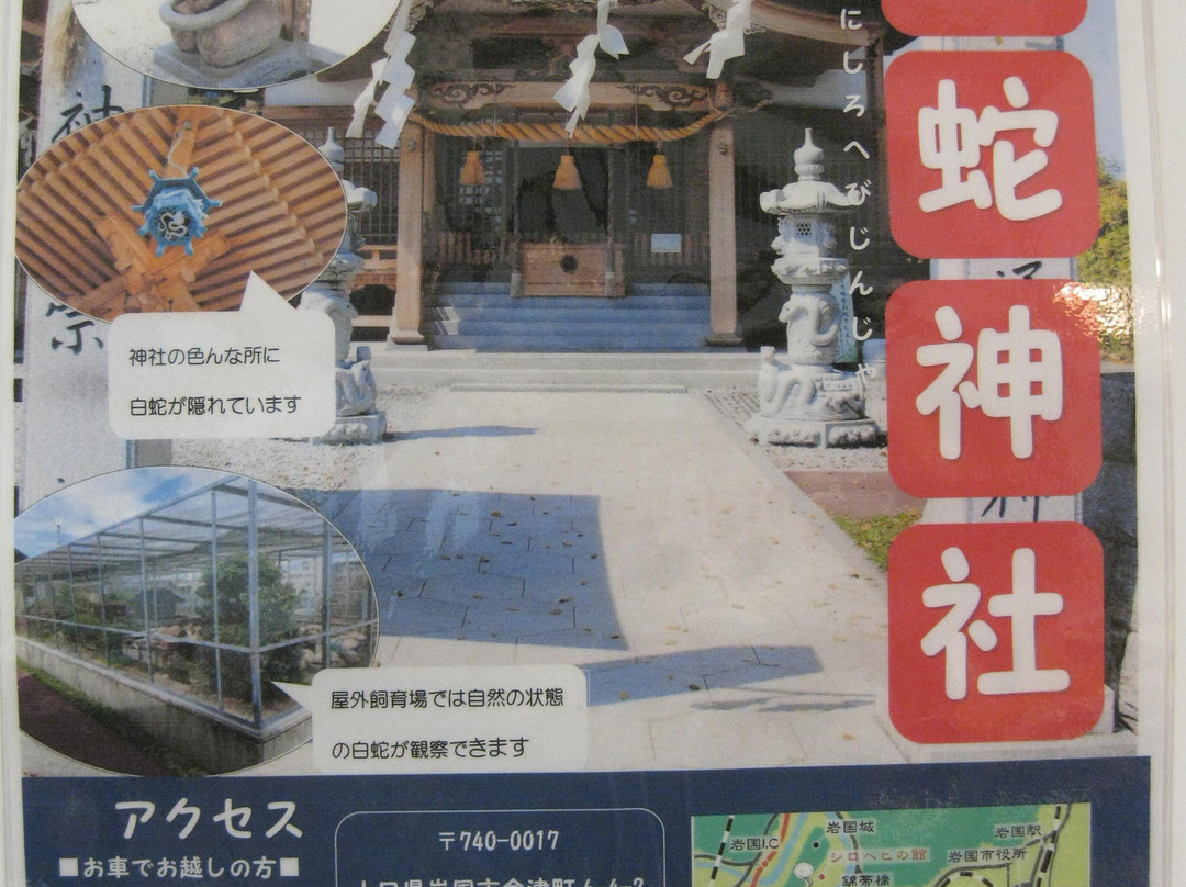 Iwakuni Shirohebi Museum-岩国市必去景点