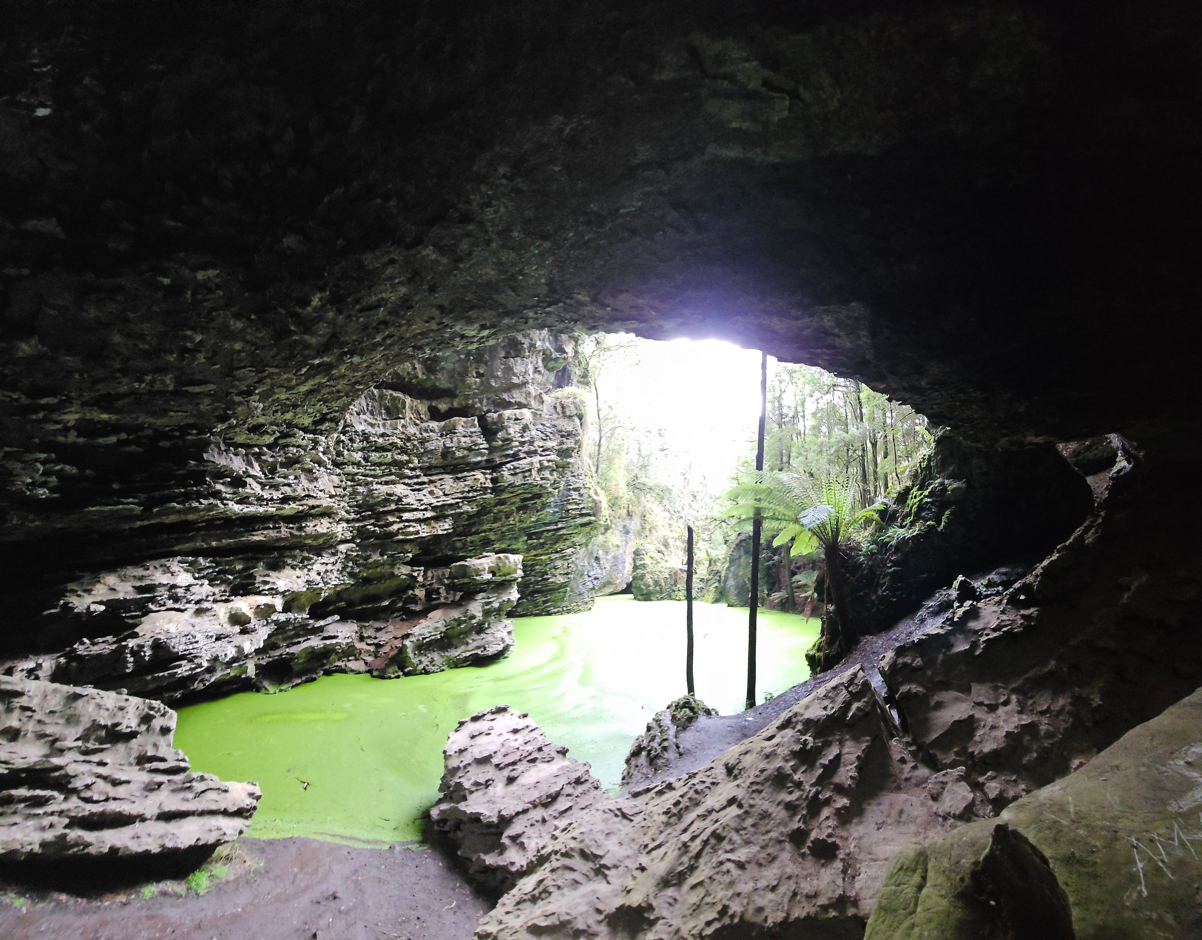 泰勒廷伯斯塔斯马尼亚岛酒店-官方