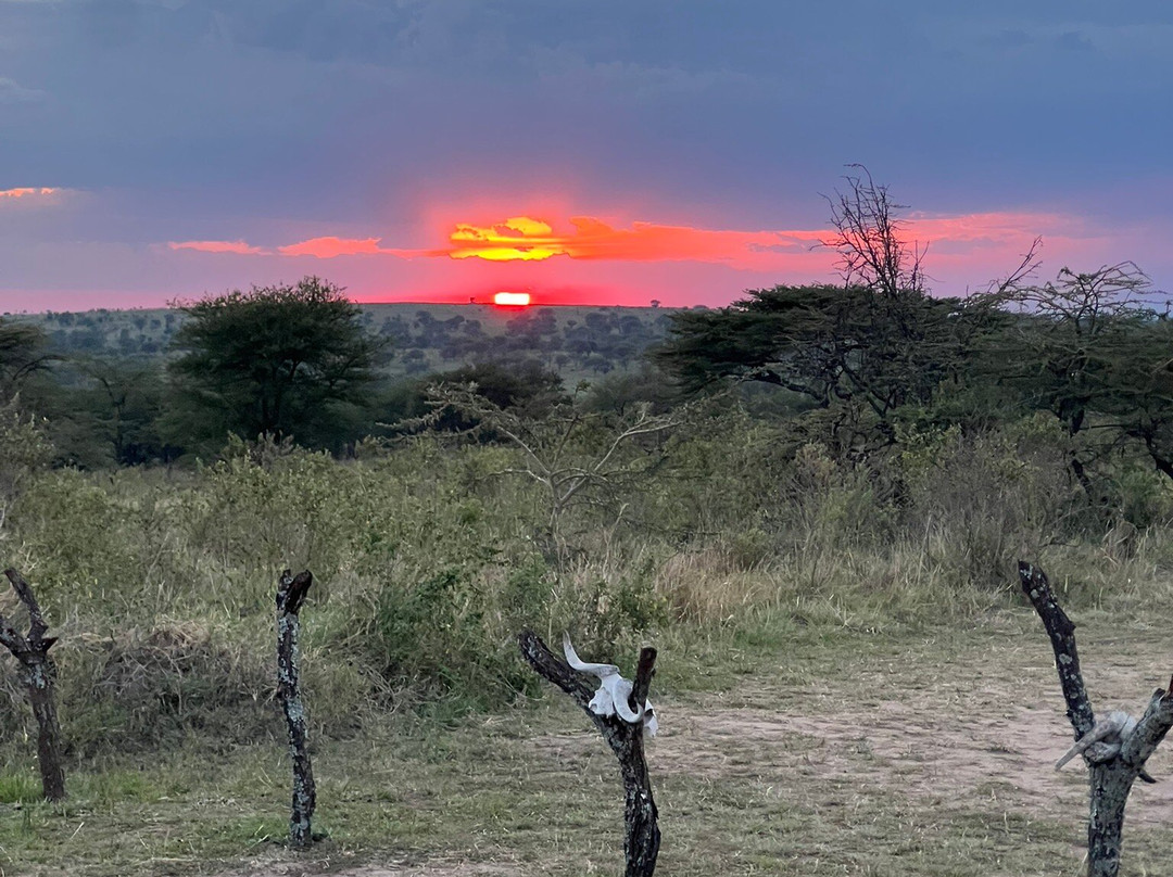 Kimbilio Serengeti Camp主图