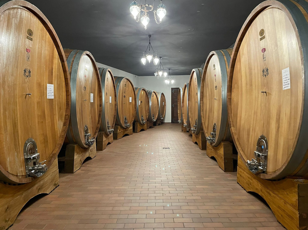 Massolino Winery-塞拉伦加达尔巴必去景点