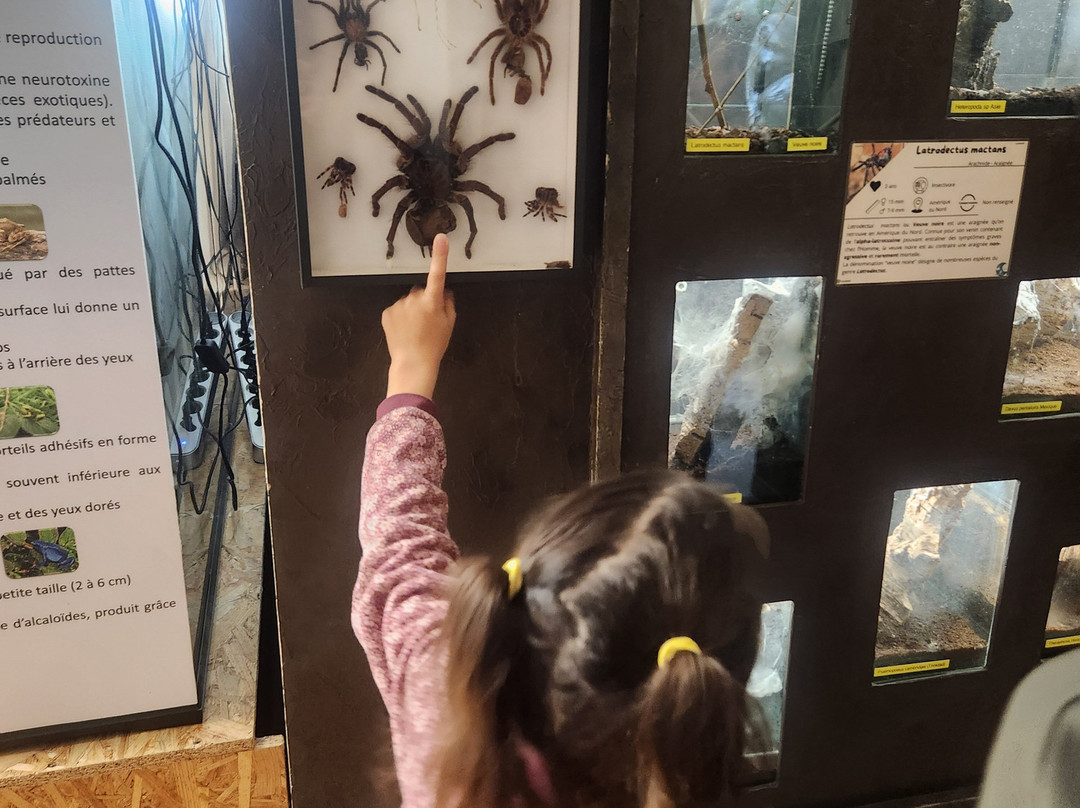 Insectarium de Lizio-Lizio必去景点