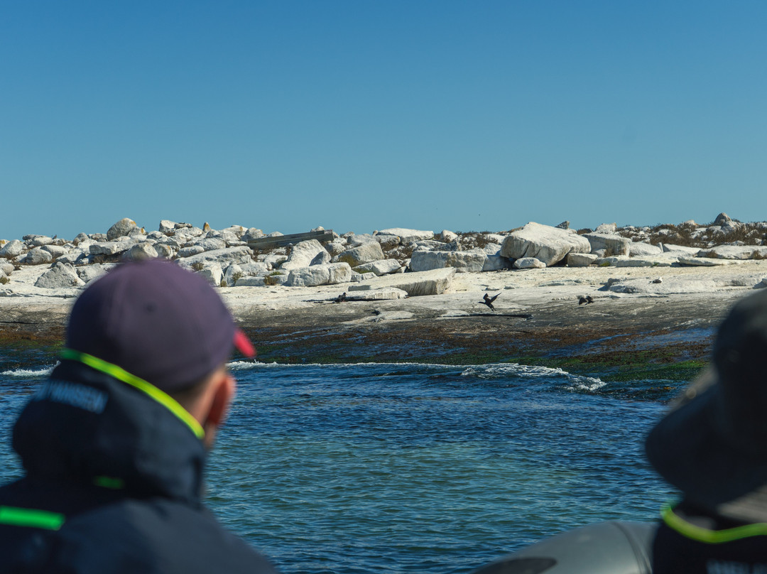 Cape Coast Expeditions-Yzerfontein必去景点