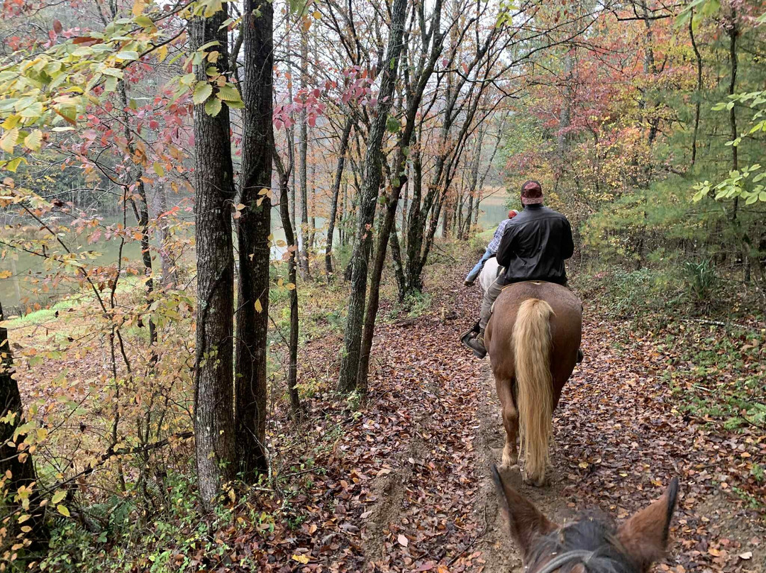Appalachian Trail Rides-Mineral Bluff必去景点