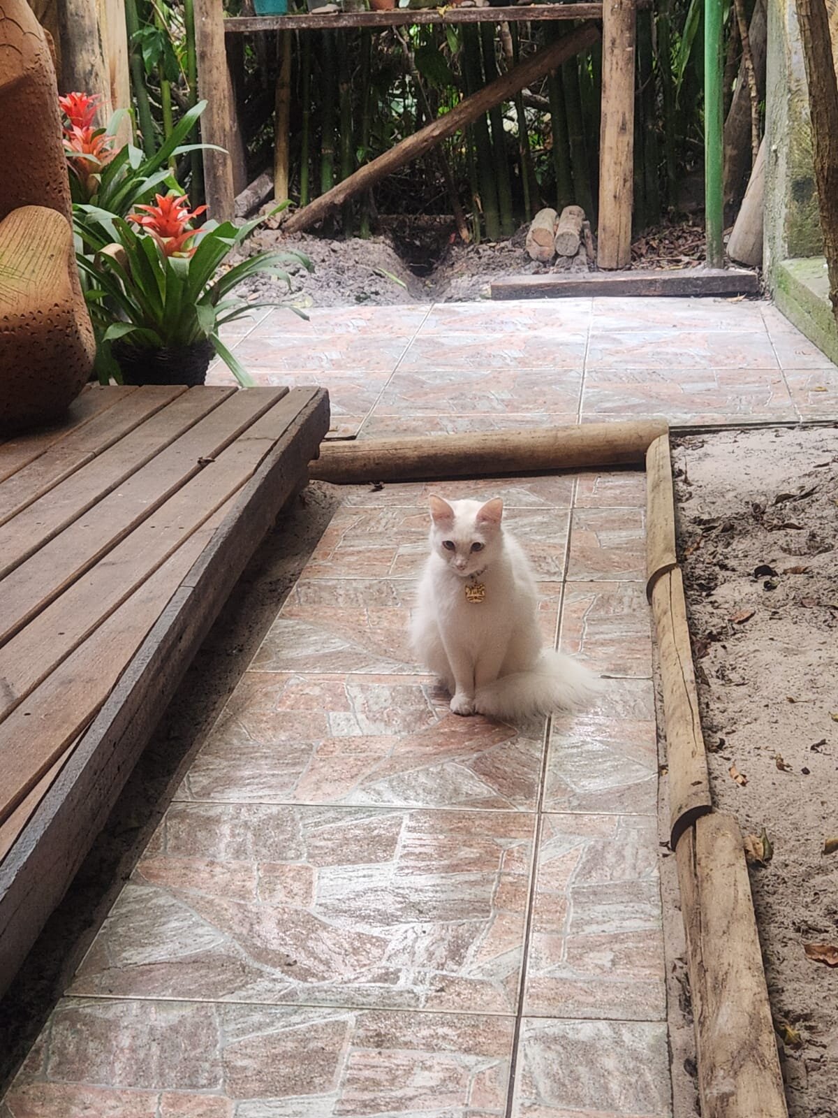 Pousada Praia Do Farol-官方