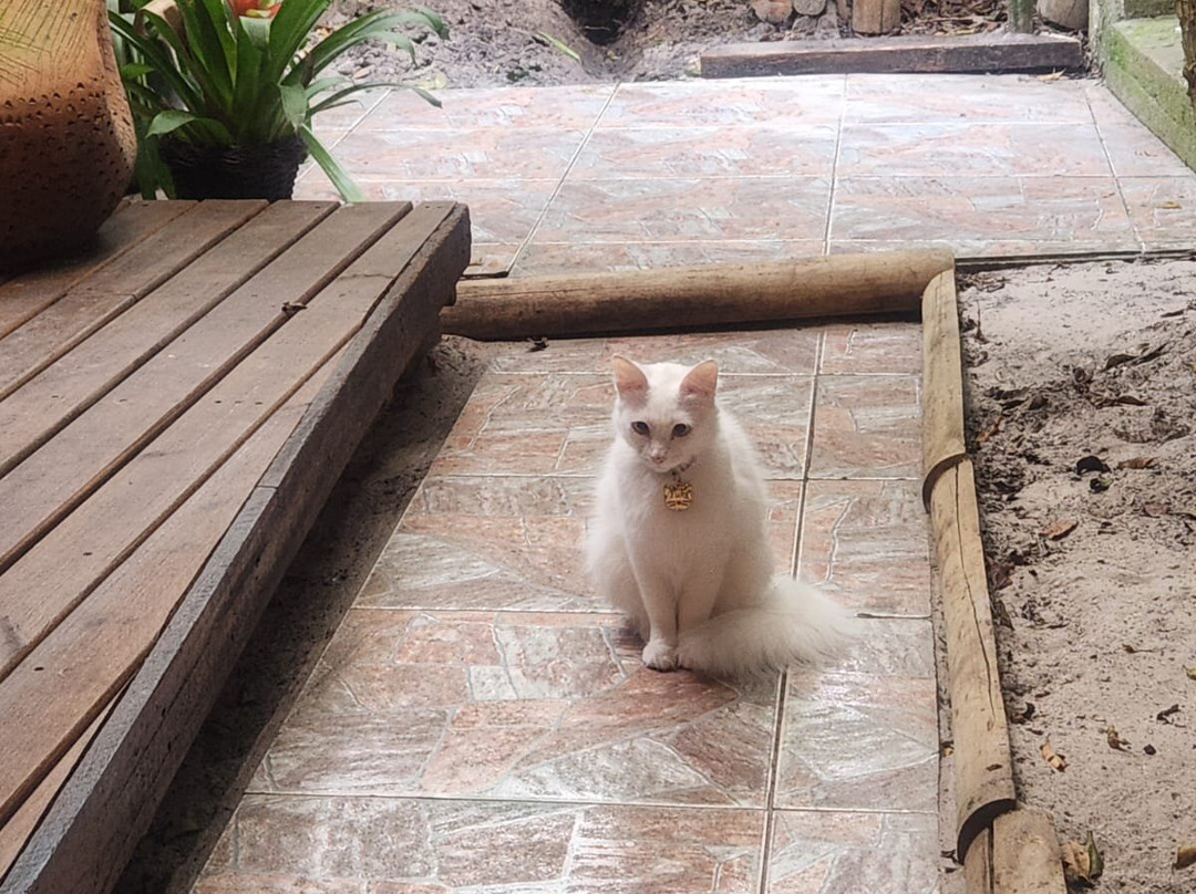 Pousada Praia Do Farol主图