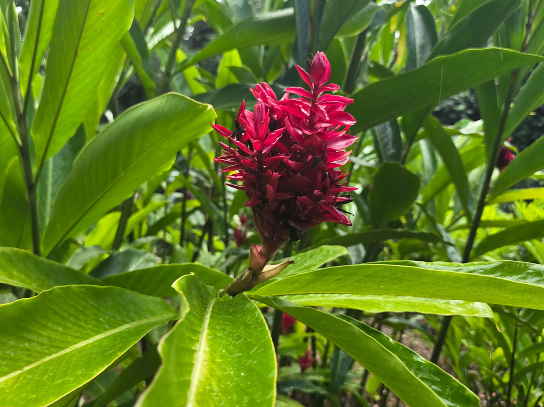 Jardin Botanique de Valombreuse-Petit-Bourg必去景点