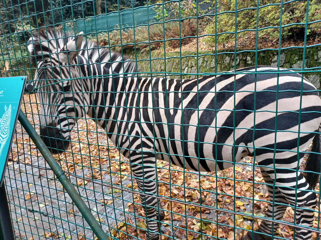 Park Pallavicino-斯特雷萨必去景点