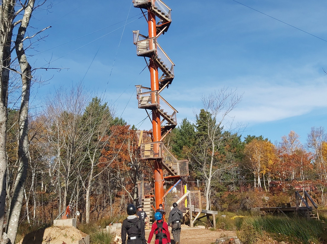 Mountain Pine Adventures-布雷顿角岛必去景点