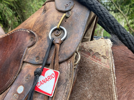 Cabalgatas San Pablo-萨伦托必去景点