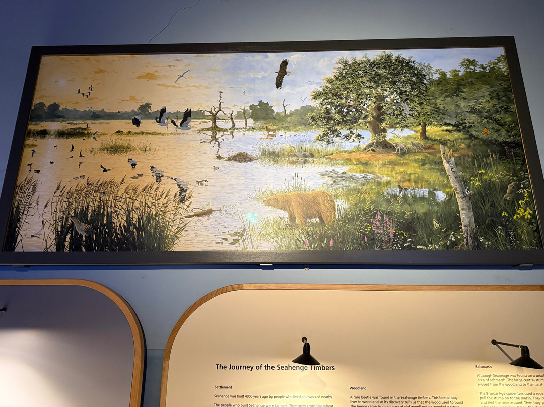 Lynn Museum-金斯林必去景点