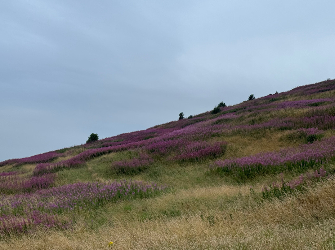 荷里鲁德公园-爱丁堡必去景点