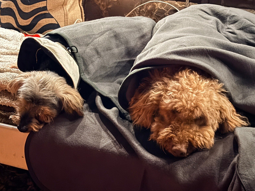 Wanderlusts Gypsy Caravans-彭里斯必去景点