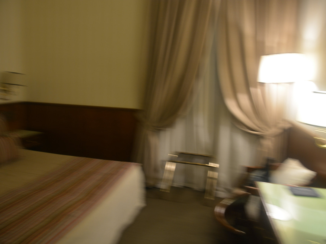 巴斯堤亚尼大酒店主图