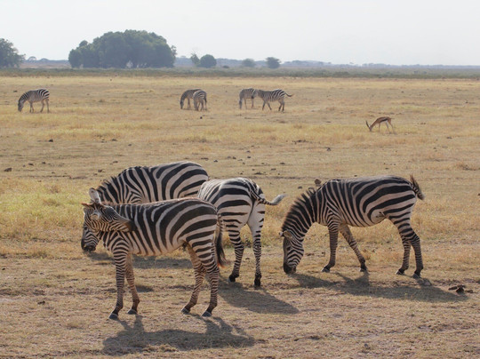 Filippo Bassa Marea-瓦塔木必去景点