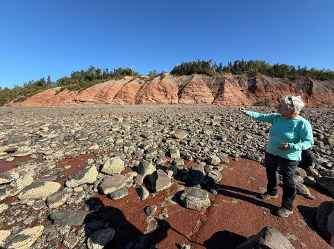 Tide Rollers & Mudlarkers-Parrsboro必去景点
