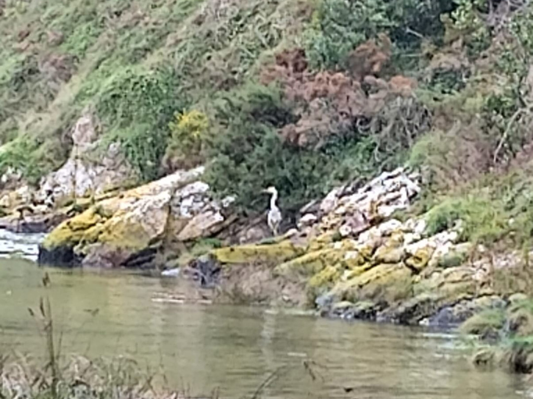 Secadero de Congrios-Muxia必去景点